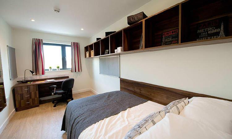 Zeni 3 Bed Apartment In Central เอ็กซิเตอร์ ภายนอก รูปภาพ